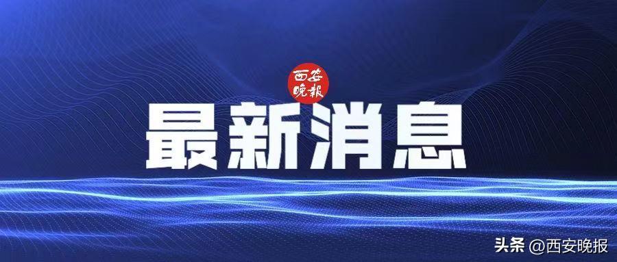 國(guó)家最新投放儲(chǔ)備豬肉，背景、意義與影響，國(guó)家最新儲(chǔ)備豬肉投放，背景、意義及影響分析