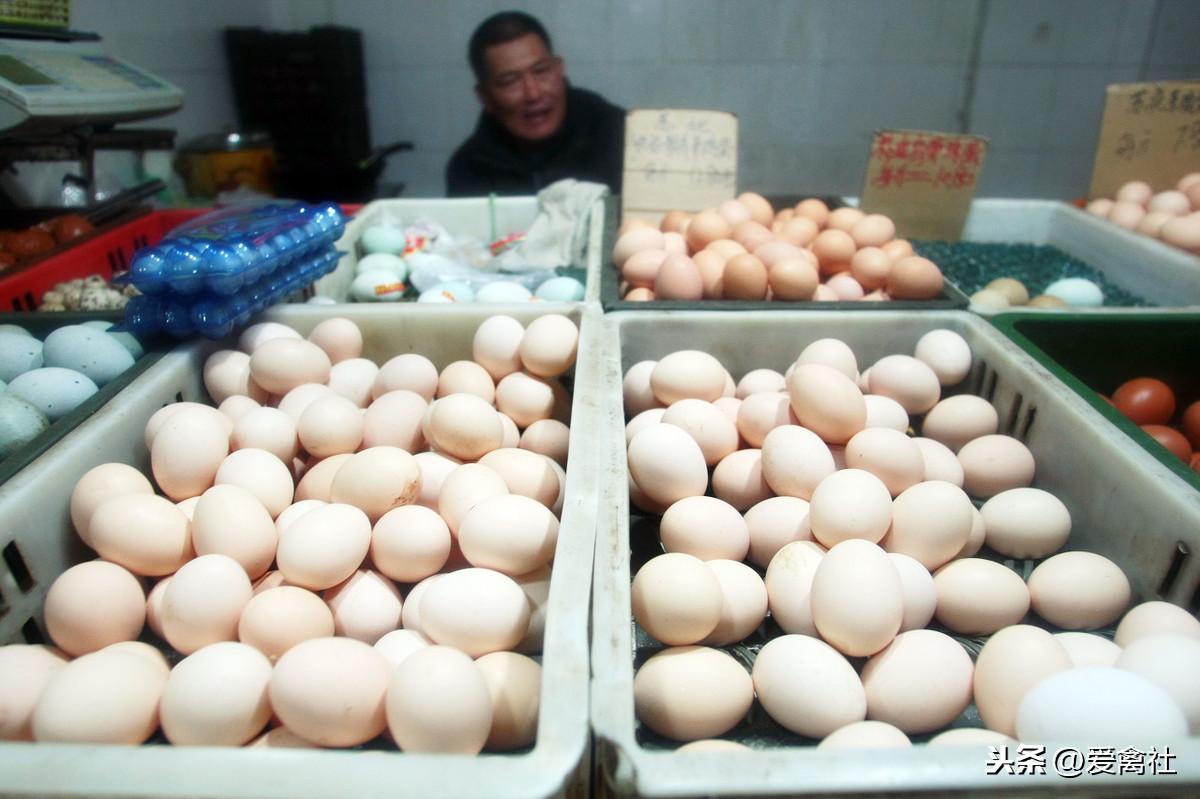 今日山東雞蛋最新行情分析，山東雞蛋今日行情分析報(bào)告