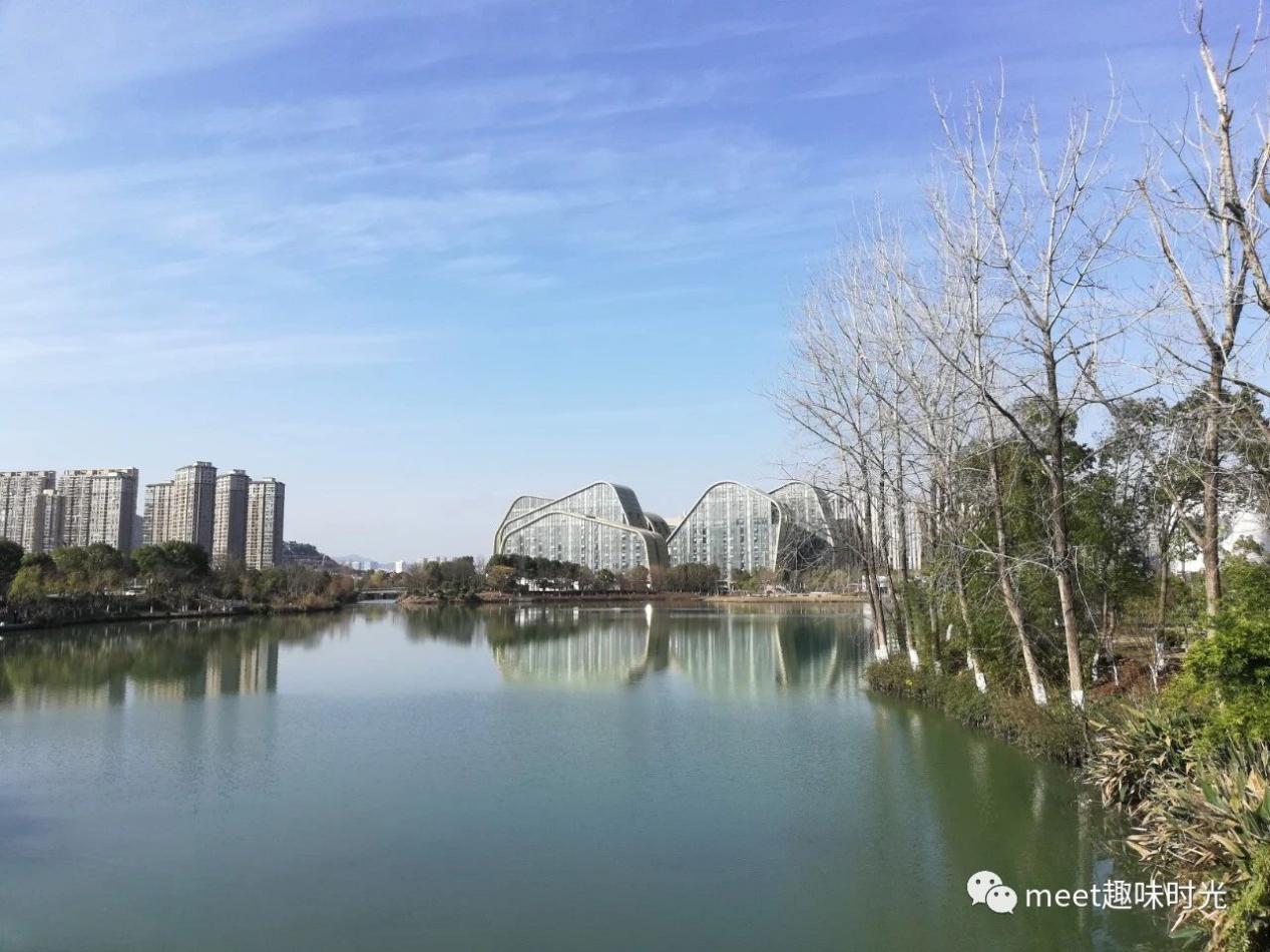 白馬湖公園最新開放區(qū)域全景解析與游玩攻略，白馬湖公園全新開放區(qū)域全景解析及游玩指南