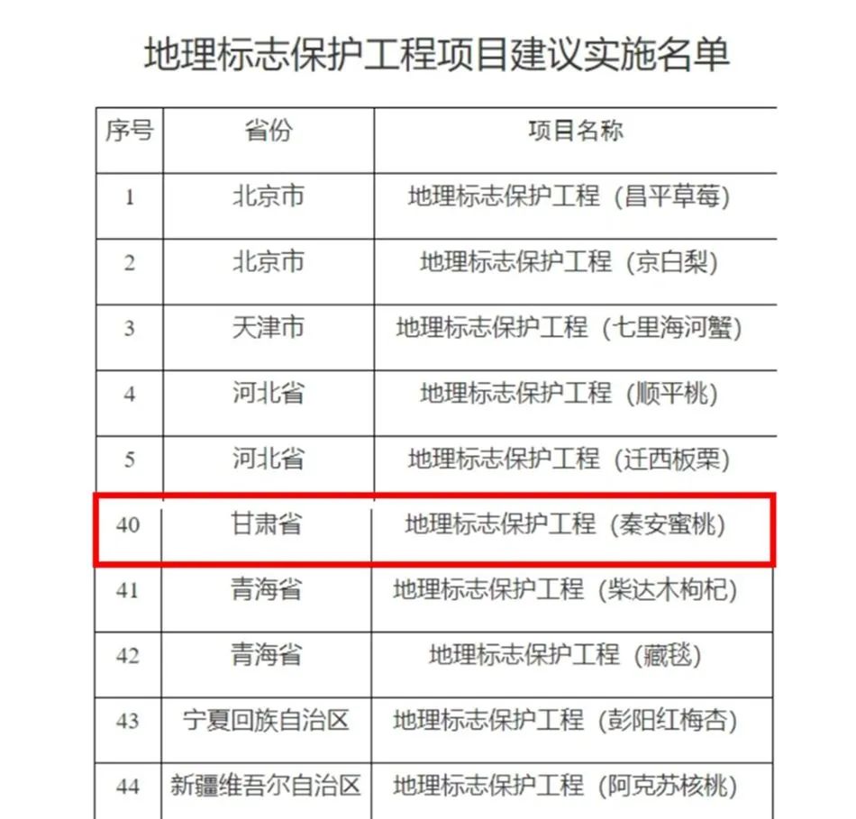 奧門開獎結果+開獎記錄2024年資料網站,經濟性執(zhí)行方案剖析_游戲版256.183