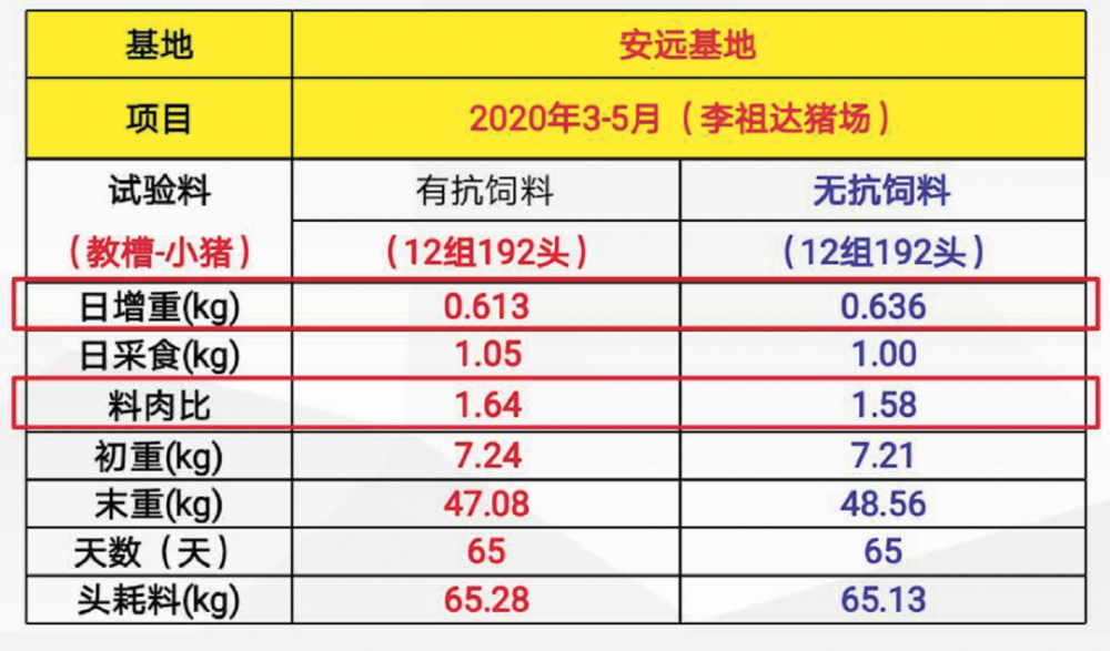 新澳2024天天正版資料大全,實地策略計劃驗證_精裝款72.992