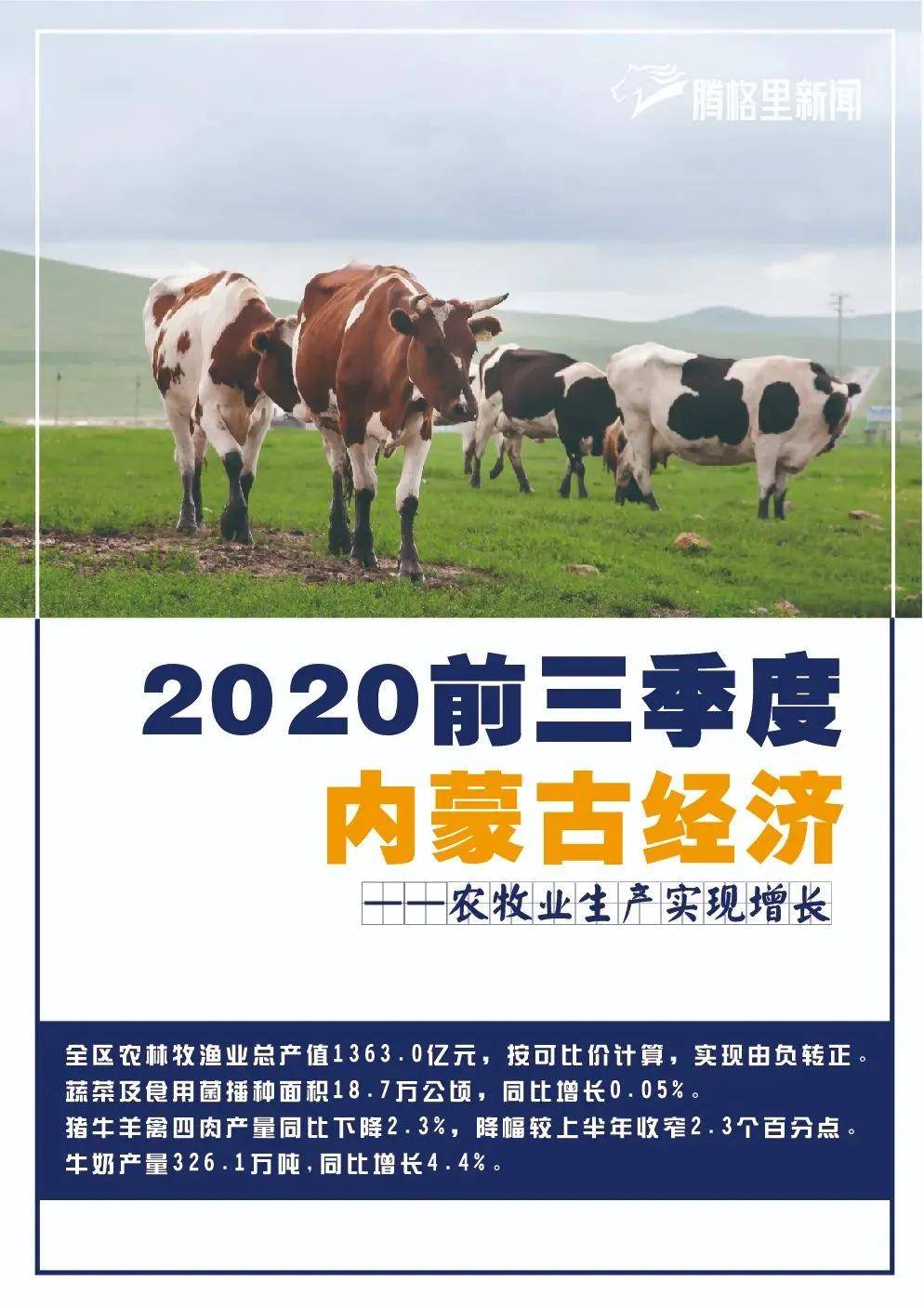 2024今晚開(kāi)的四不像生肖圖,全面理解執(zhí)行計(jì)劃_Gold20.424