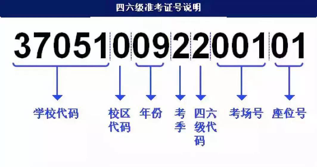 香港最快最精準免費資料,實地計劃驗證策略_Holo19.109