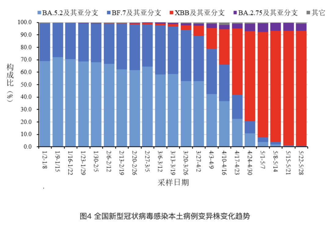 新冠病毒2024年最新消息,深層策略執(zhí)行數(shù)據(jù)_GT46.175