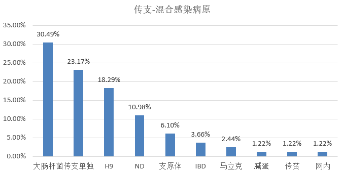 2O24年澳門今晚開碼料,市場(chǎng)趨勢(shì)方案實(shí)施_專屬款54.808