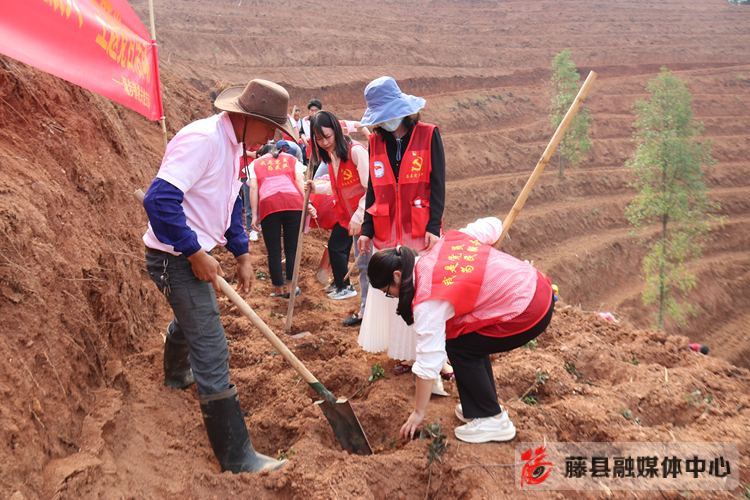 塘步鎮(zhèn)最新新聞，發(fā)展動態(tài)與社會熱點一網(wǎng)打盡，塘步鎮(zhèn)最新資訊，發(fā)展動態(tài)與社會熱點全面解析