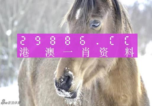 澳門平特一肖100%準(zhǔn)資優(yōu)勢(shì),適用策略設(shè)計(jì)_限量版50.971