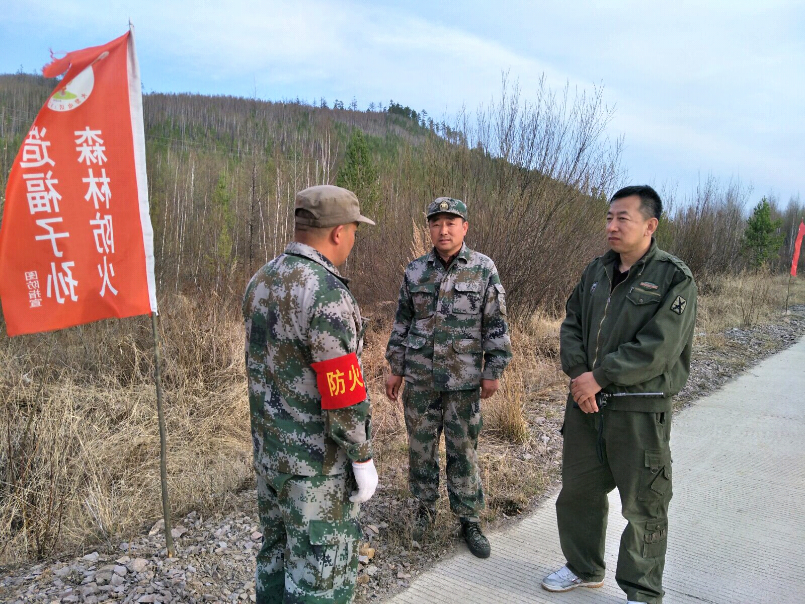 湯南林場最新新聞，探索綠色生態(tài)與可持續(xù)發(fā)展之路，湯南林場探索綠色生態(tài)與可持續(xù)發(fā)展之路的最新新聞報道