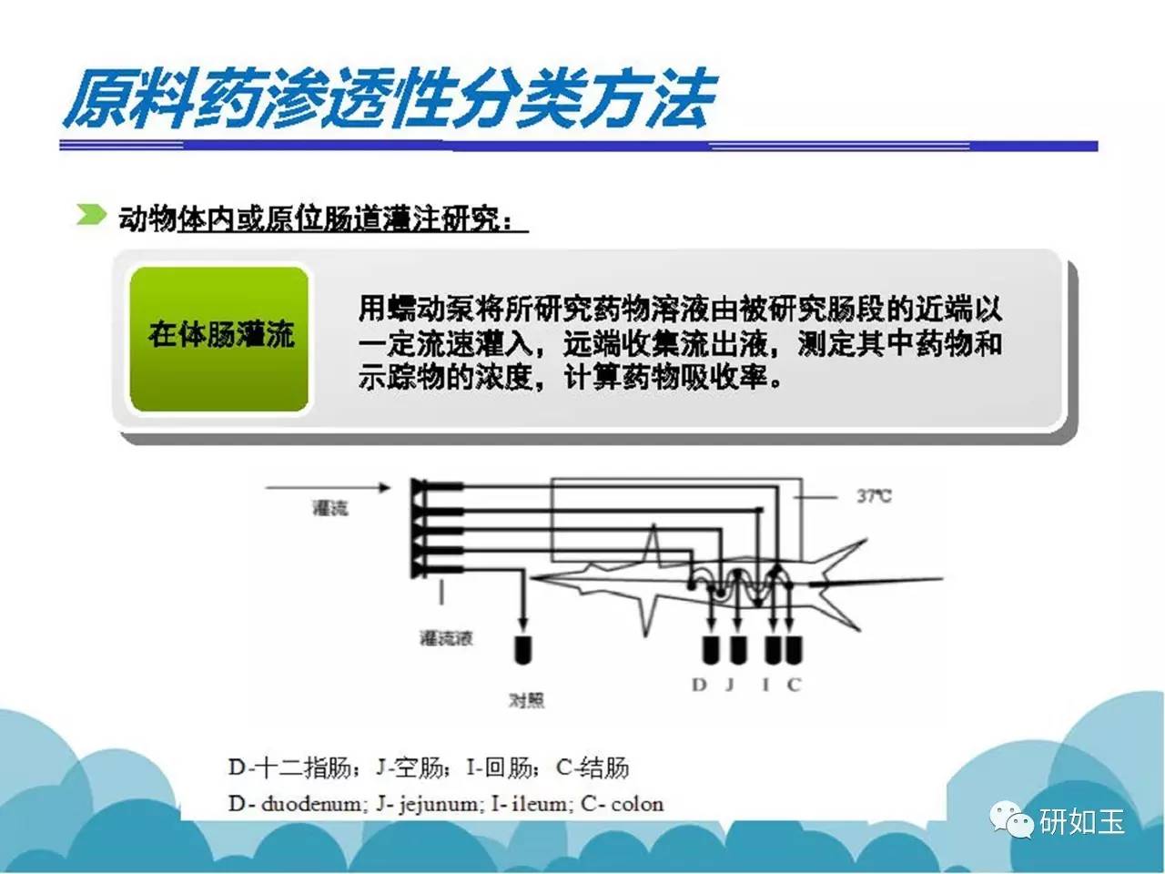 2024年新澳門全年免費資料大全,時代資料解釋落實_桌面版1.226