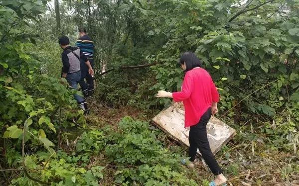 雨湖區(qū)應(yīng)急管理局最新新聞報(bào)道，雨湖區(qū)應(yīng)急管理局最新動(dòng)態(tài)報(bào)道