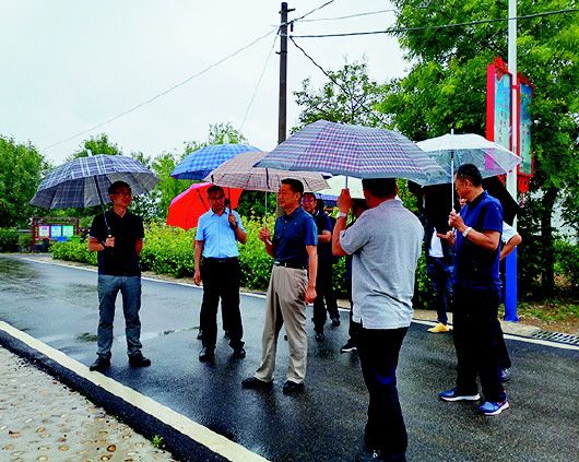 日莊鎮(zhèn)最新新聞，探索小鎮(zhèn)的最新動態(tài)與發(fā)展趨勢，日莊鎮(zhèn)最新新聞揭秘，小鎮(zhèn)最新動態(tài)與發(fā)展趨勢探索