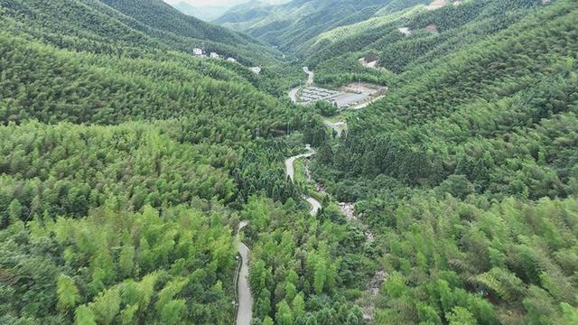 藍(lán)山荊竹林場最新發(fā)展規(guī)劃，邁向可持續(xù)繁榮的未來，藍(lán)山荊竹林場邁向可持續(xù)繁榮的未來發(fā)展規(guī)劃