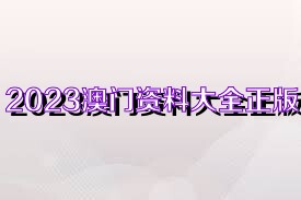 2023澳門正版資料,深入解析數(shù)據(jù)應(yīng)用_黃金版34.222