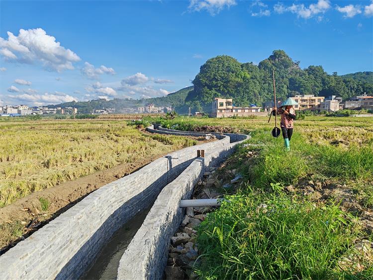 任民鎮(zhèn)最新項(xiàng)目，引領(lǐng)地區(qū)發(fā)展的新星，任民鎮(zhèn)最新項(xiàng)目，引領(lǐng)地區(qū)發(fā)展新星崛起