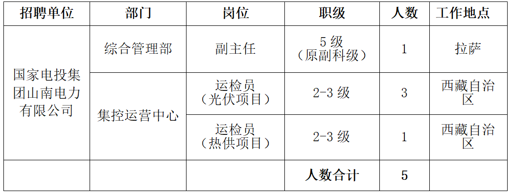 拉薩市供電局最新招聘信息概覽，拉薩市供電局最新招聘啟事概覽