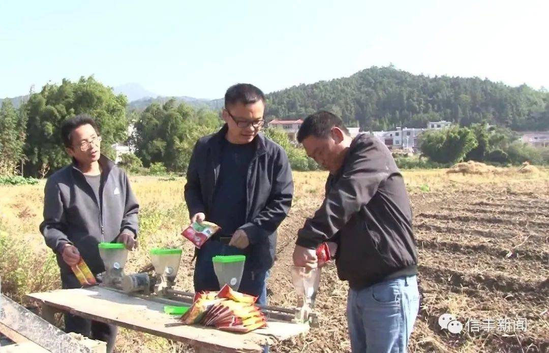 油榨鎮(zhèn)最新項目，引領(lǐng)地區(qū)發(fā)展的前沿力量，油榨鎮(zhèn)引領(lǐng)地區(qū)發(fā)展前沿力量的最新項目啟動