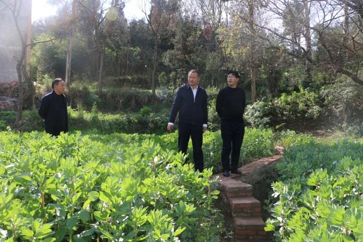 下壩村委會最新招聘信息全面更新，職位多樣，機(jī)會無限，下壩村委會最新招聘信息發(fā)布，多樣職位，無限機(jī)會