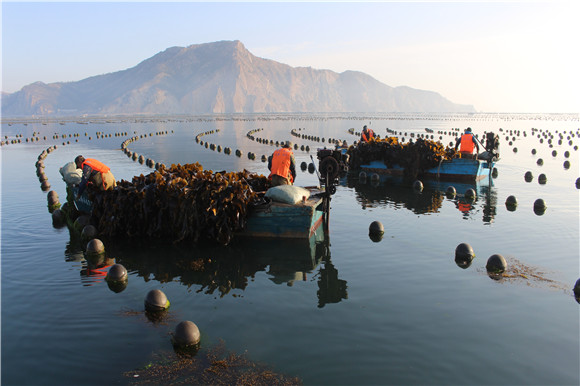 大欽島鄉(xiāng)最新項目，引領地區(qū)發(fā)展的前沿力量，大欽島鄉(xiāng)最新項目，引領地區(qū)發(fā)展的先鋒力量